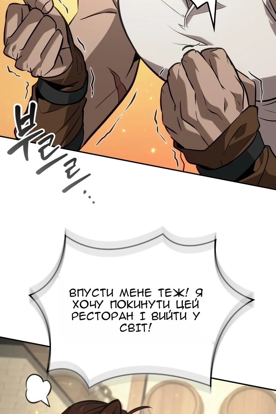 Сторінка 102