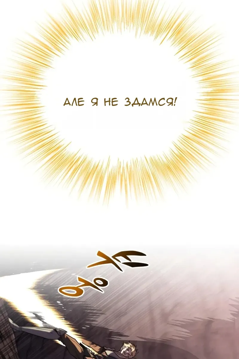 Сторінка 113