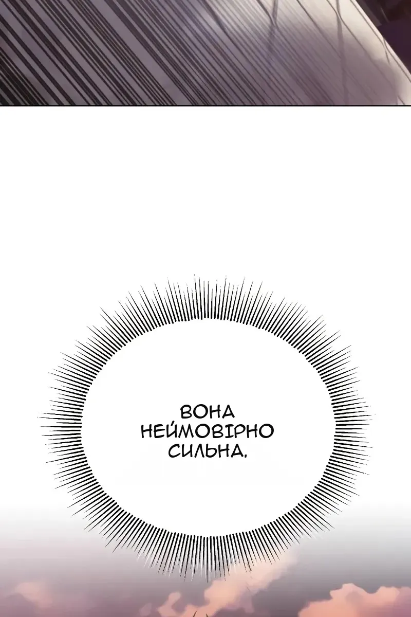 Сторінка 113