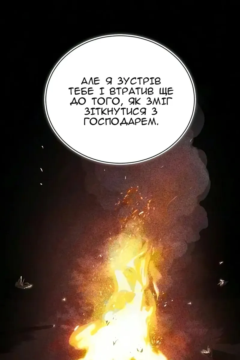 Сторінка 13