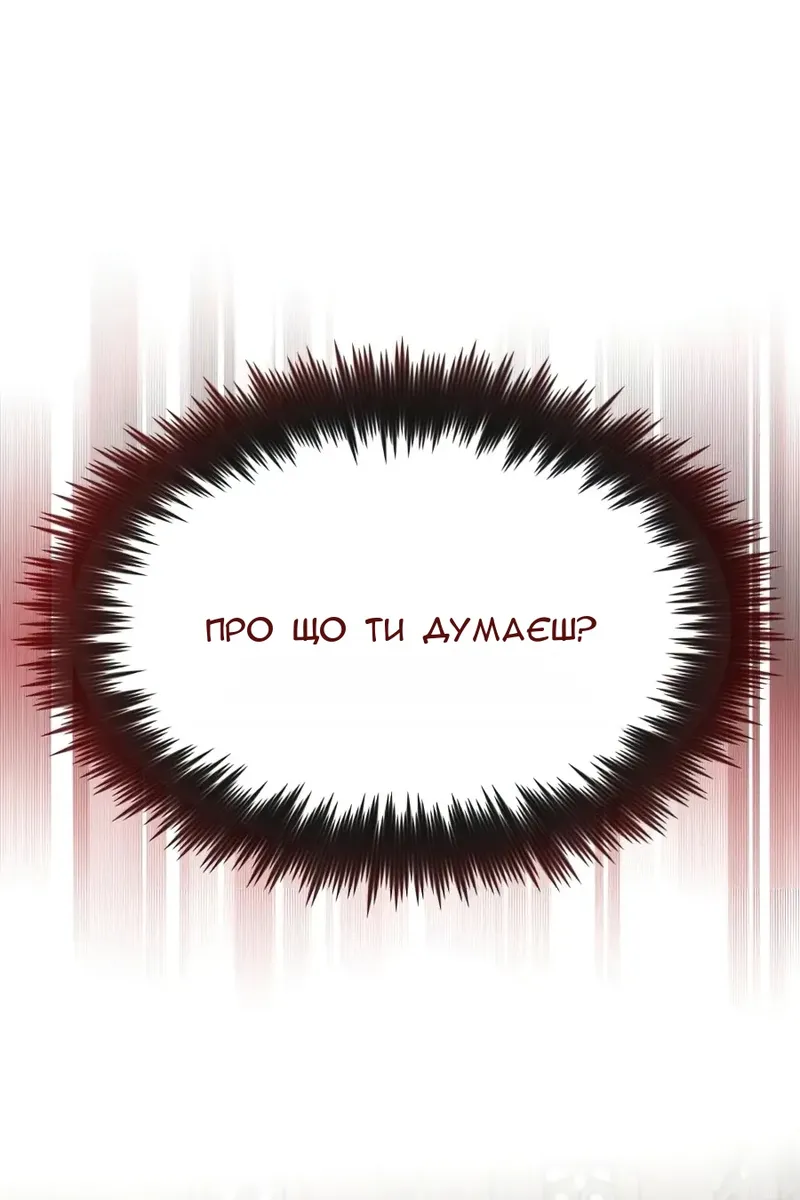 Сторінка 17