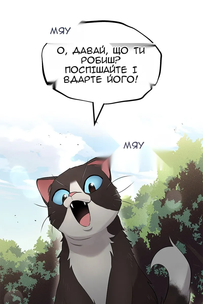Сторінка 137