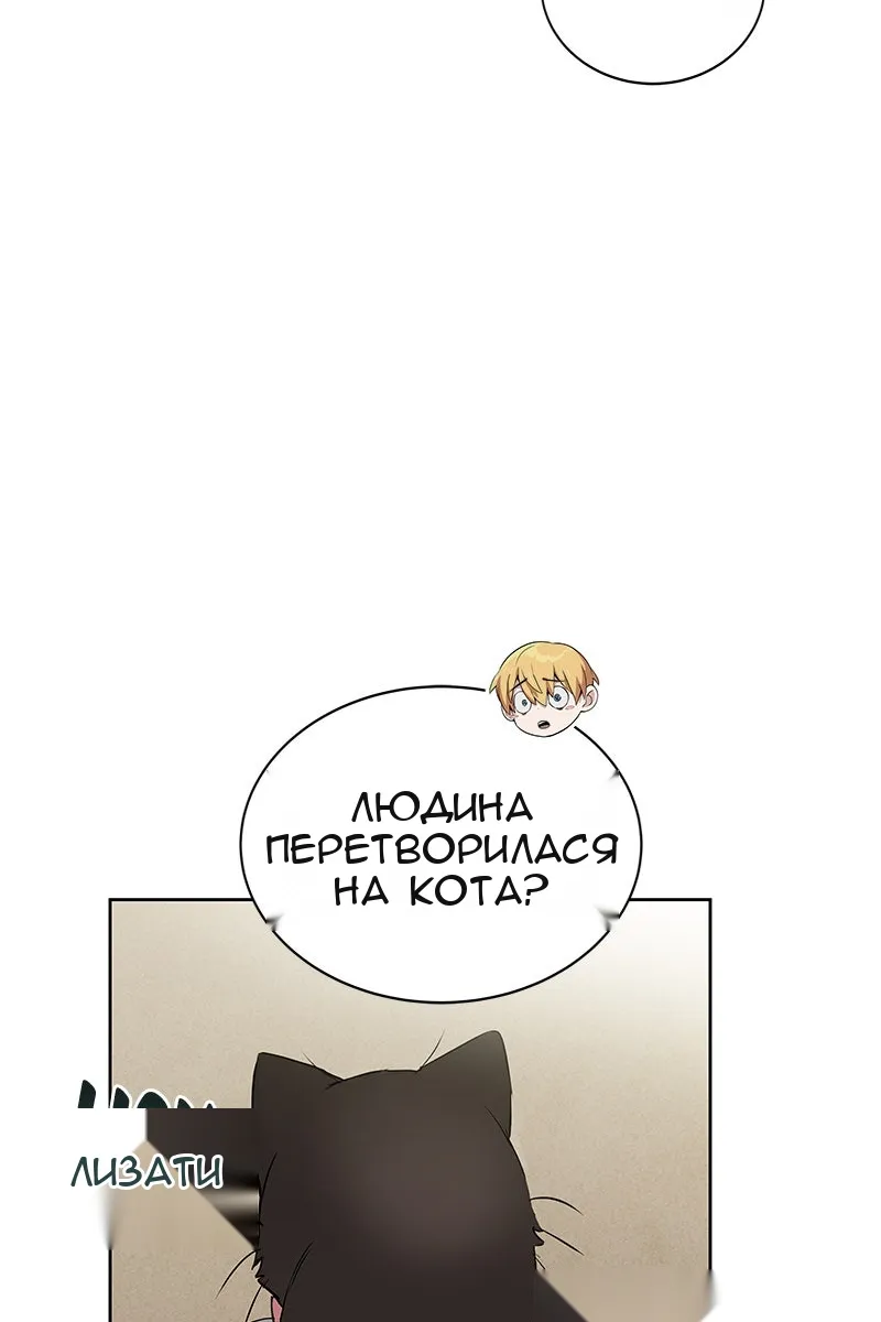 Сторінка 29