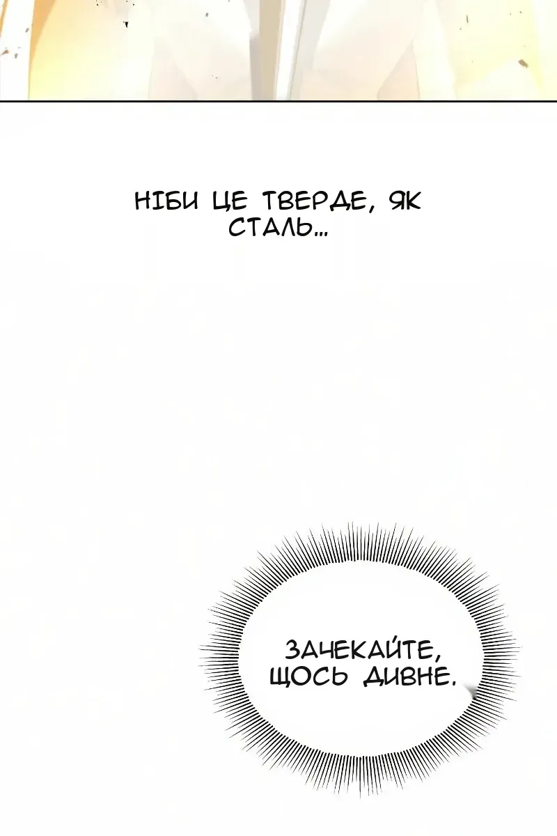 Сторінка 85