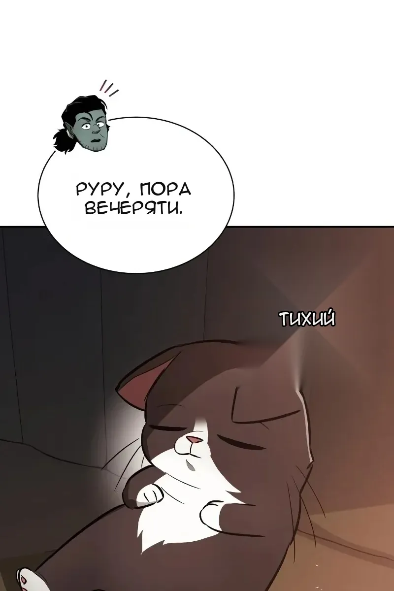 Сторінка 29