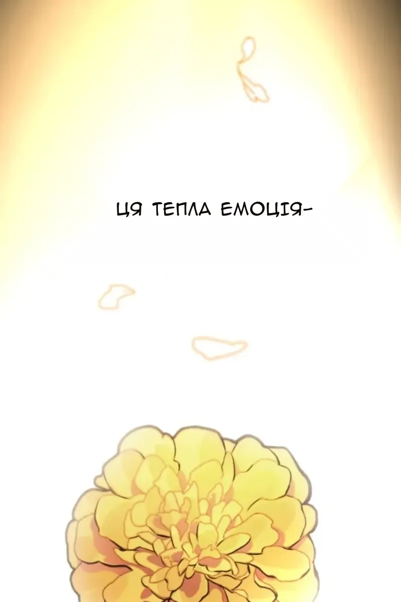 Сторінка 17