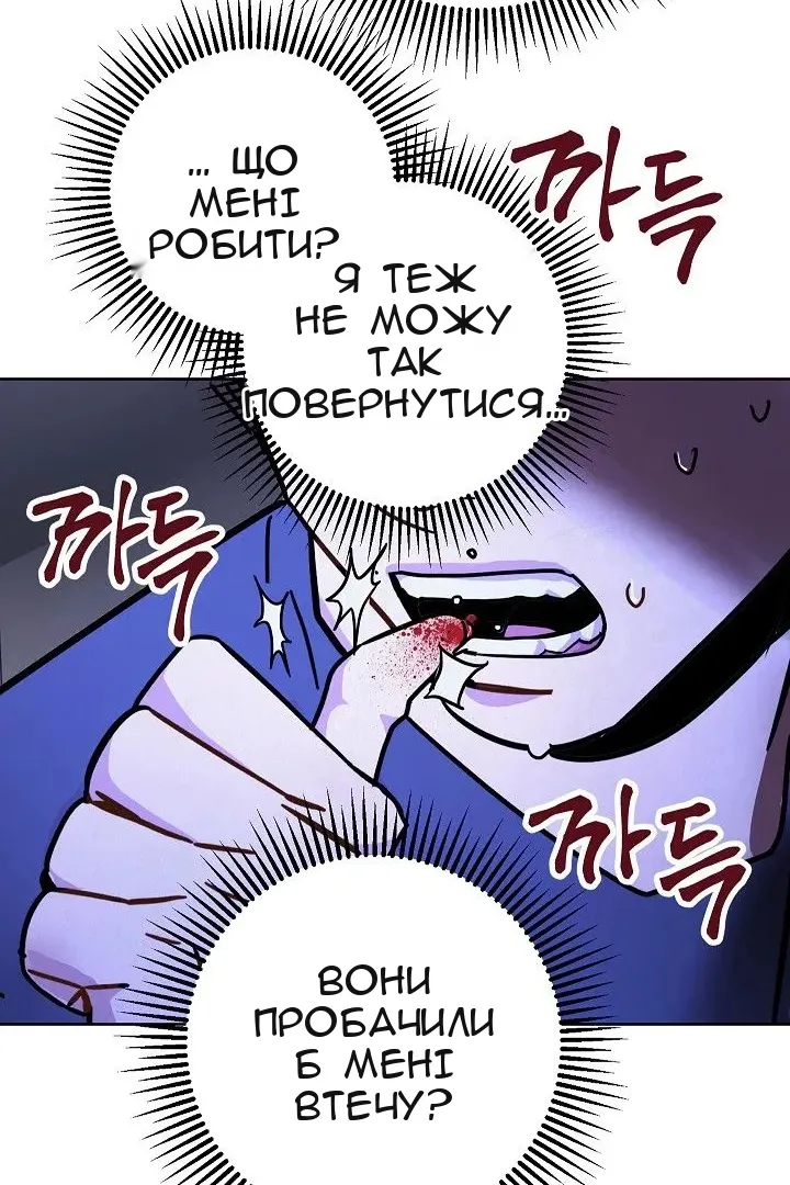 Сторінка 6