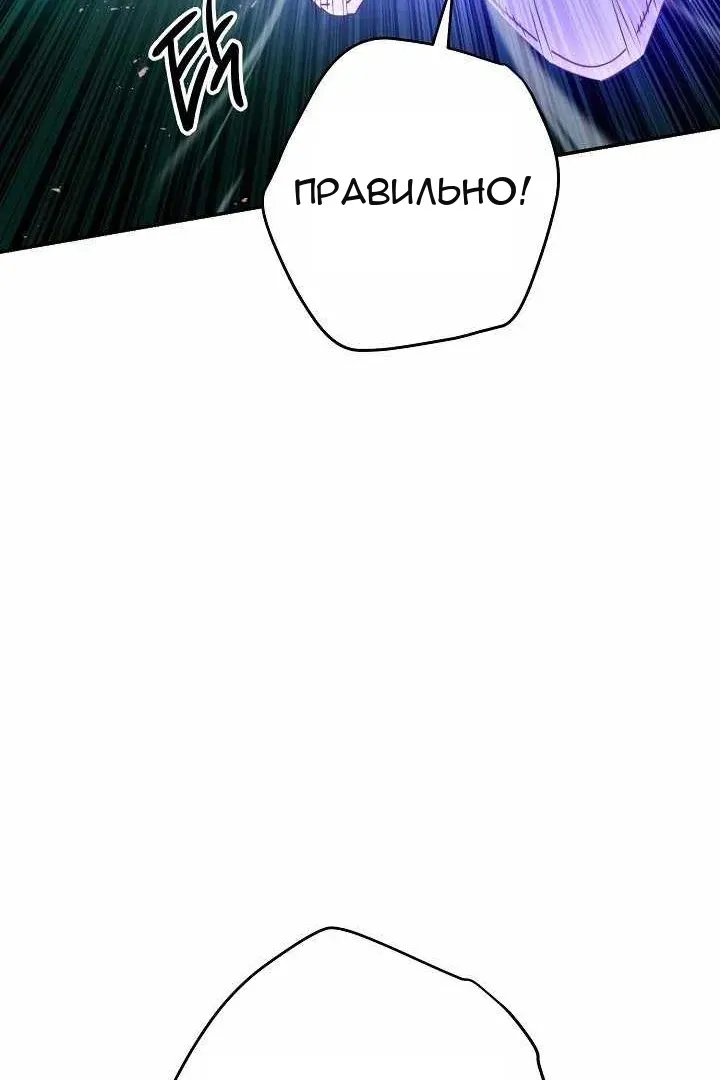 Сторінка 11