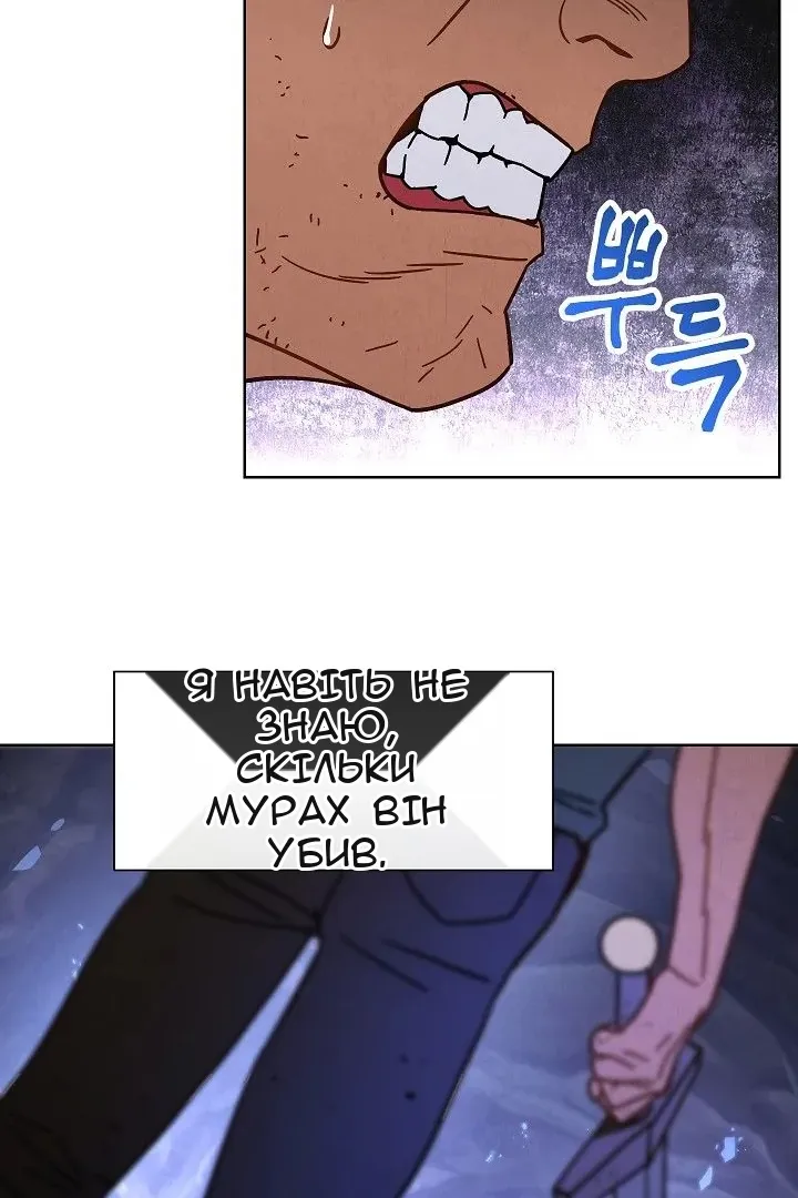 Сторінка 41