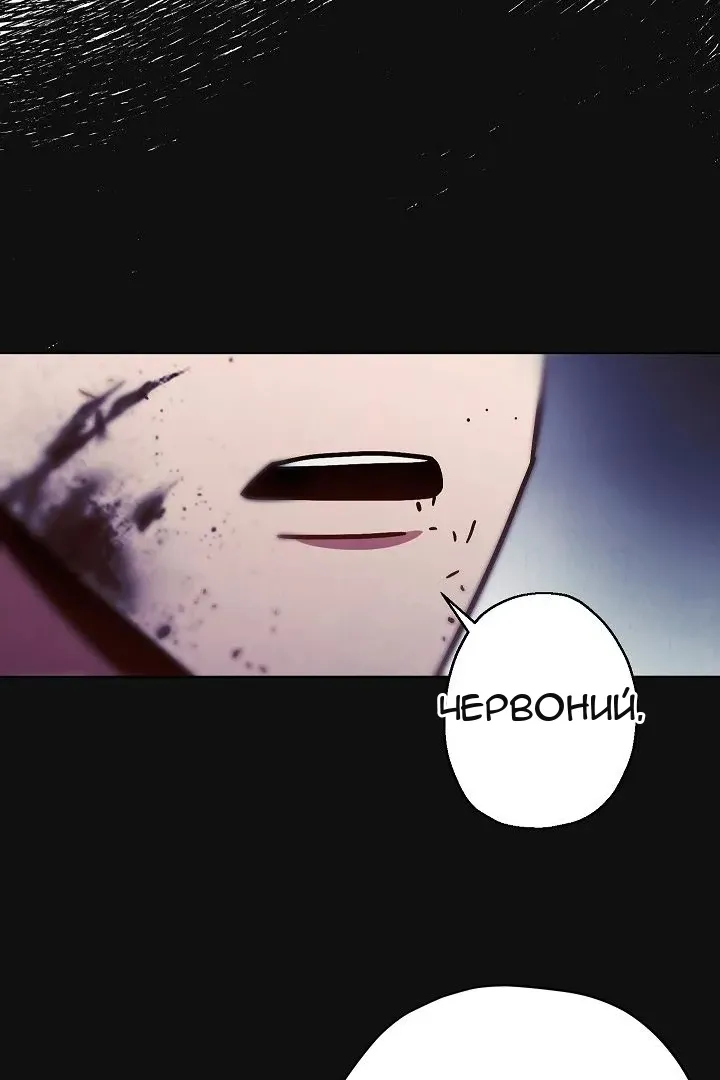 Сторінка 6