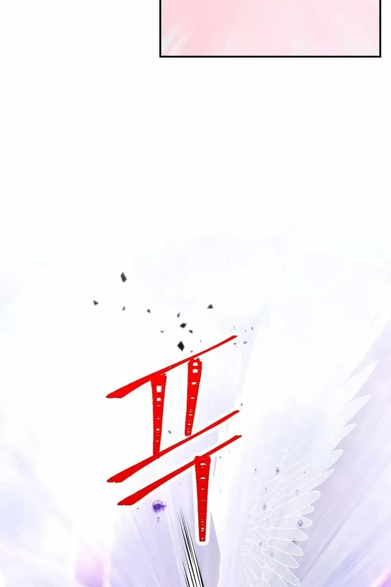 Сторінка 6