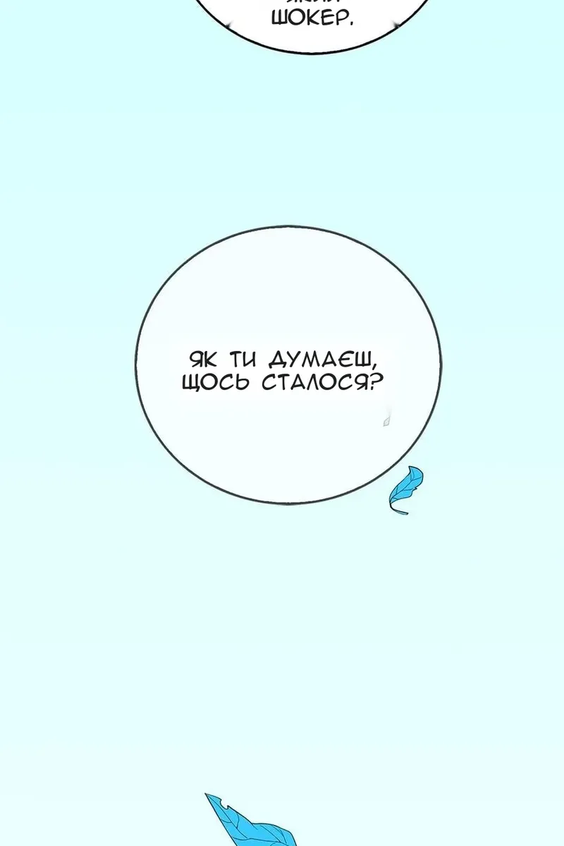 Сторінка 5