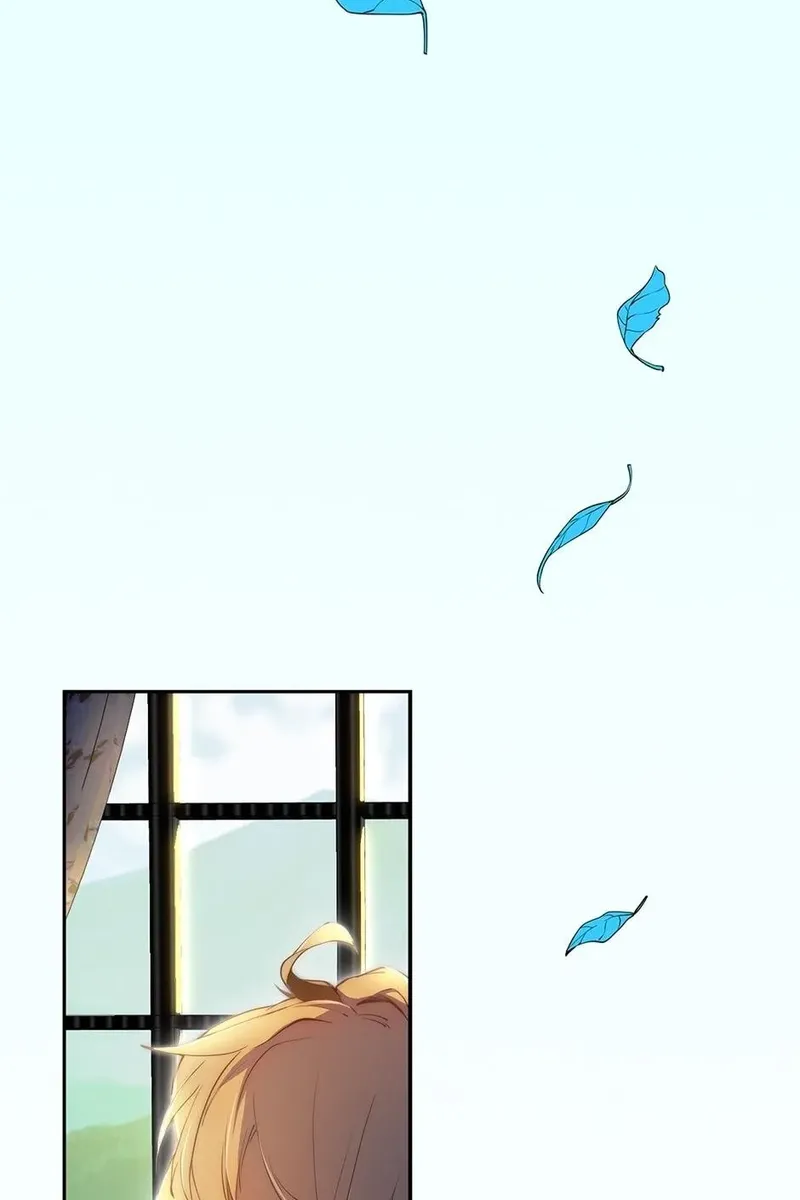 Сторінка 6