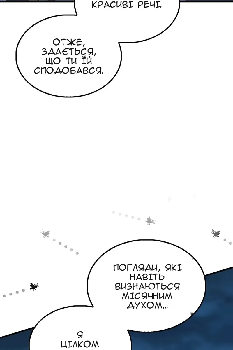 Сторінка 29