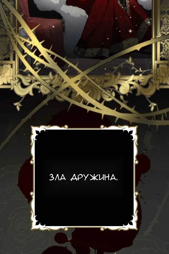 Сторінка 41