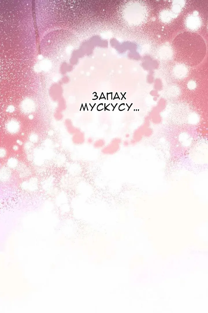 Сторінка 15