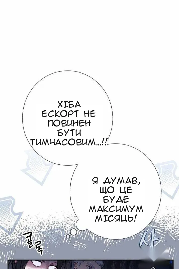 Сторінка 117