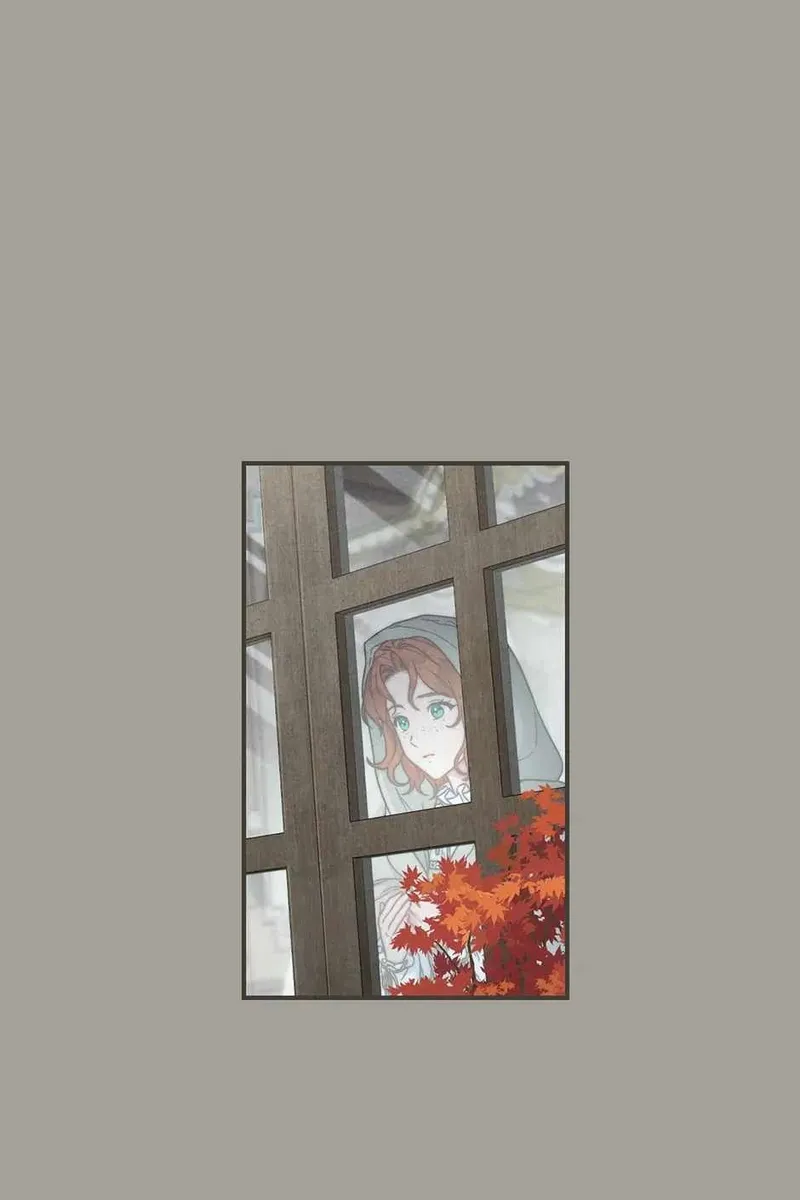Сторінка 17