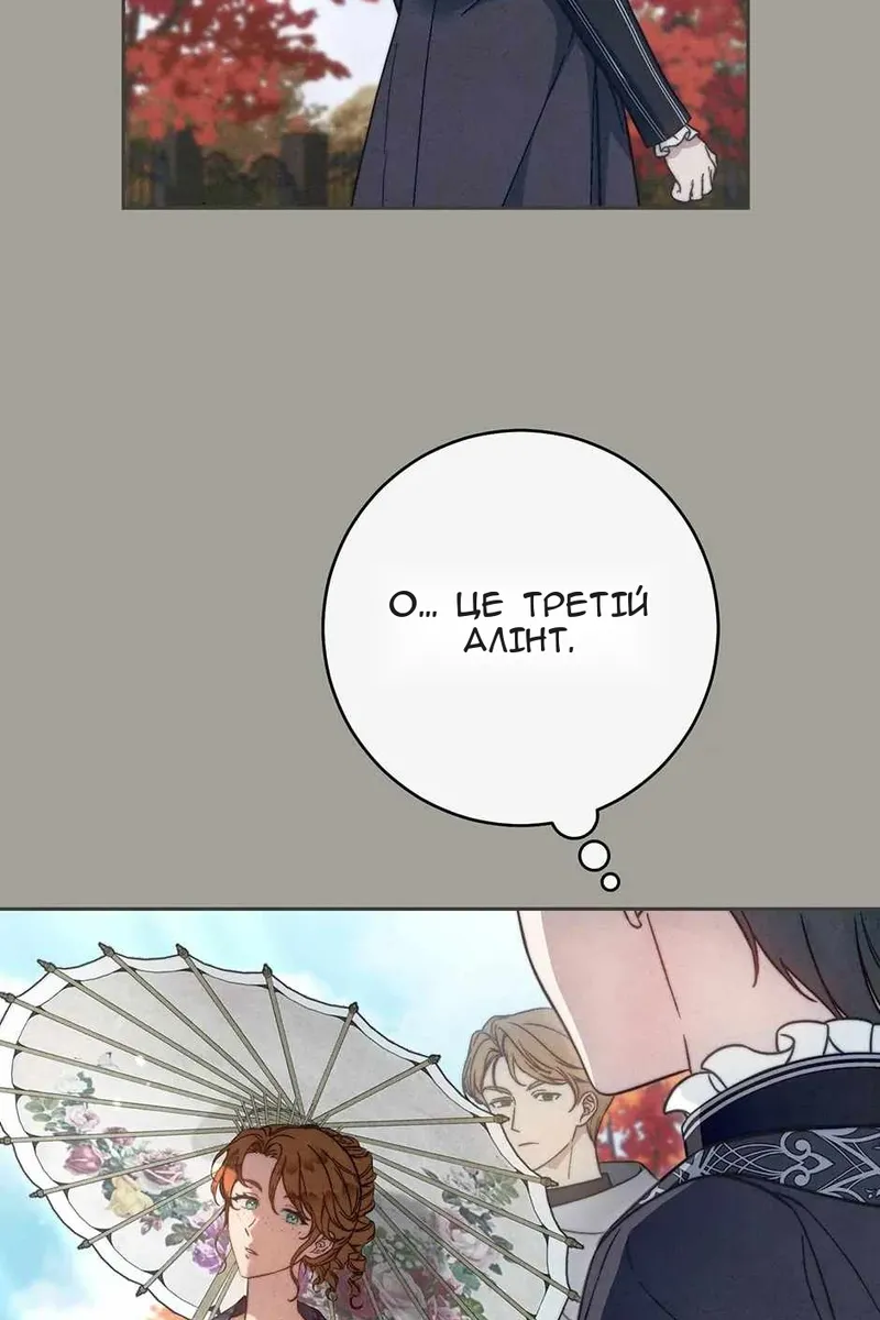 Сторінка 29