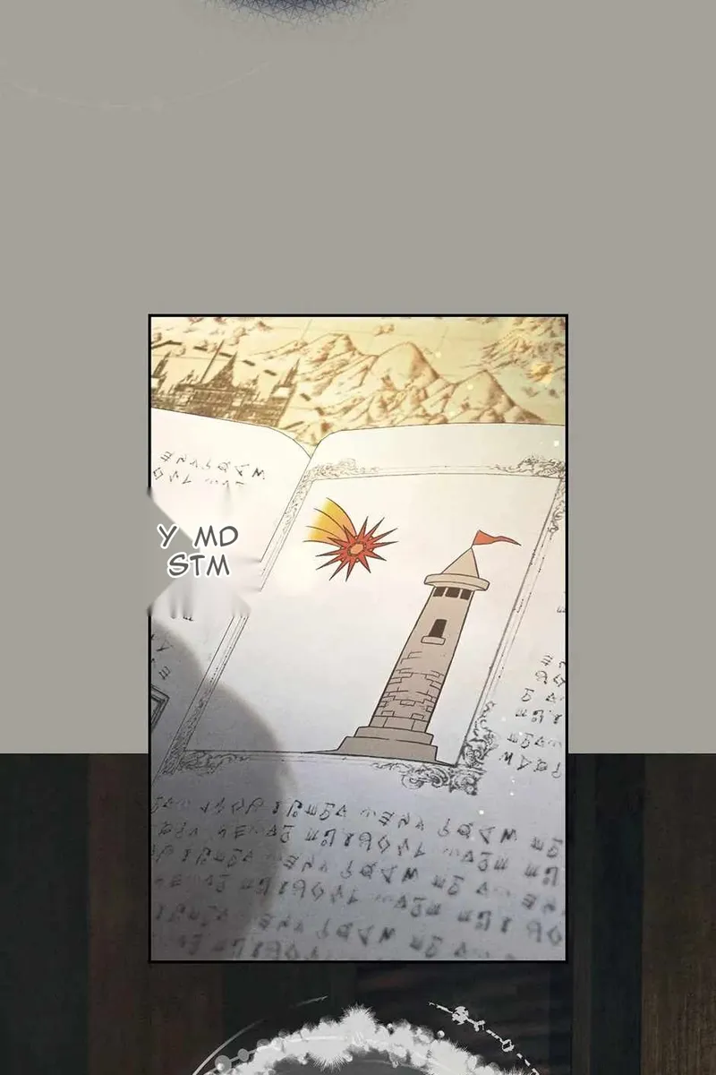 Сторінка 8