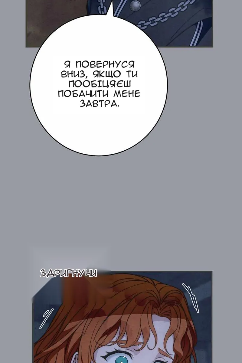Сторінка 29