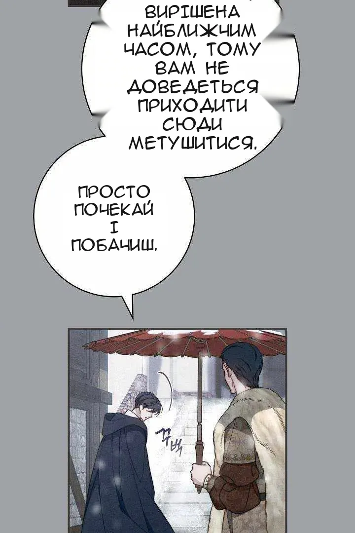 Сторінка 29