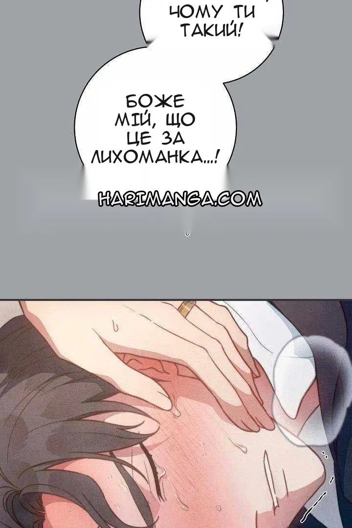 Сторінка 47
