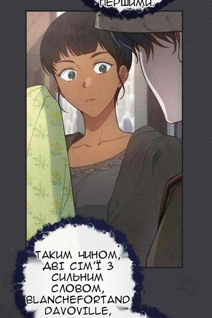 Сторінка 71