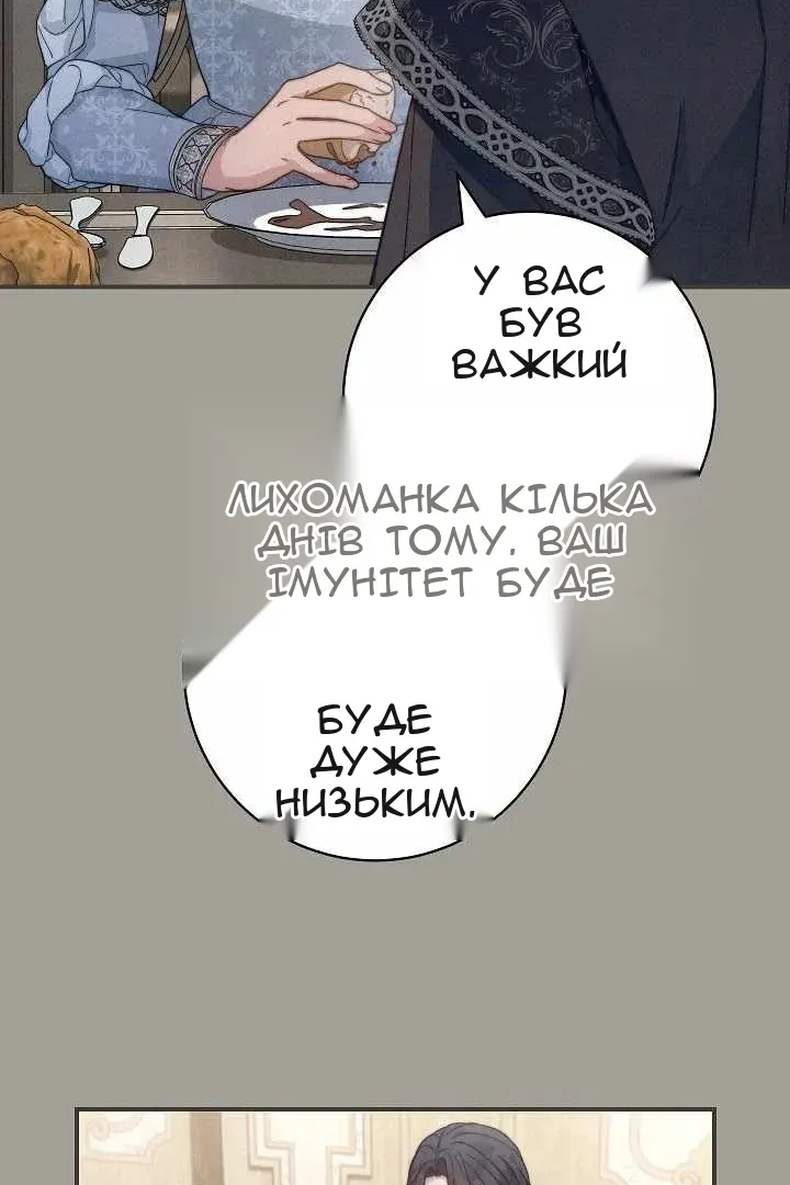 Сторінка 31