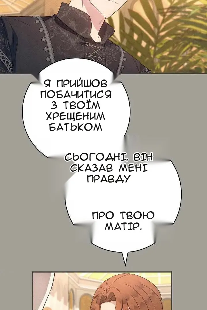 Сторінка 51