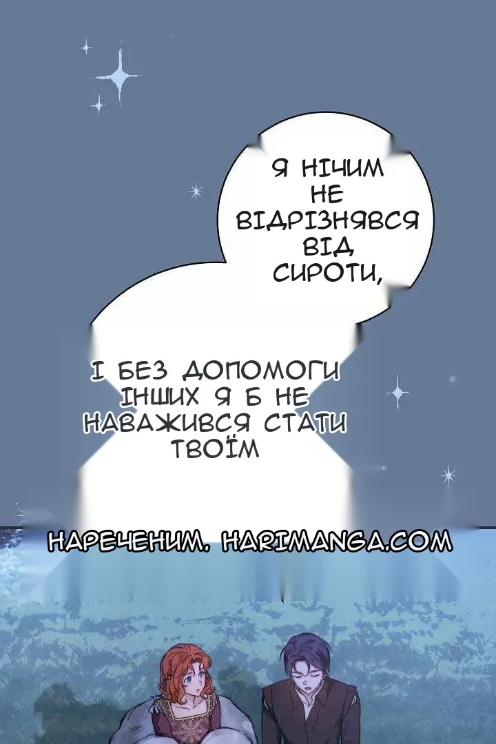 Сторінка 17
