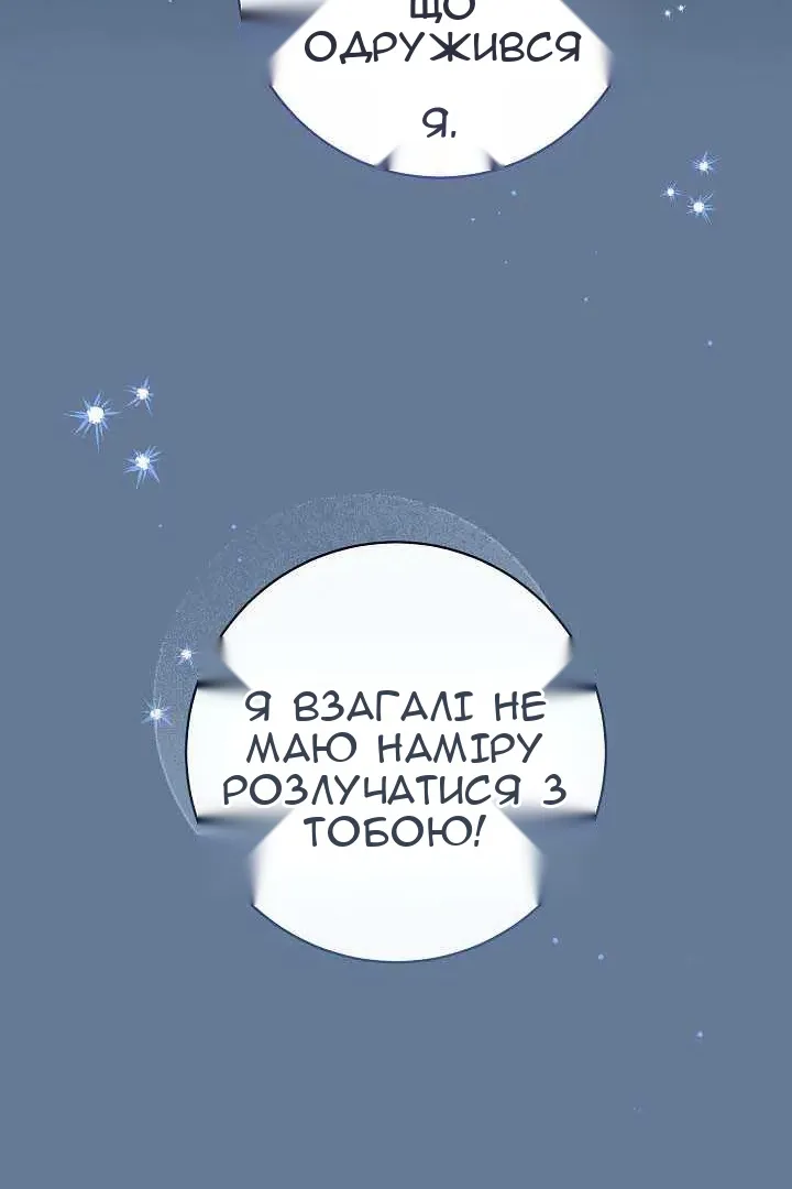 Сторінка 29