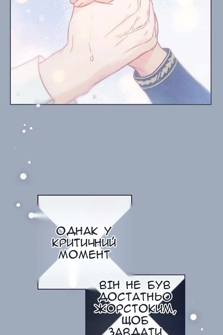 Сторінка 41