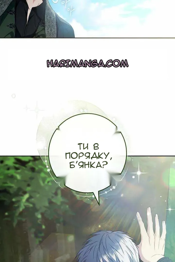 Сторінка 13