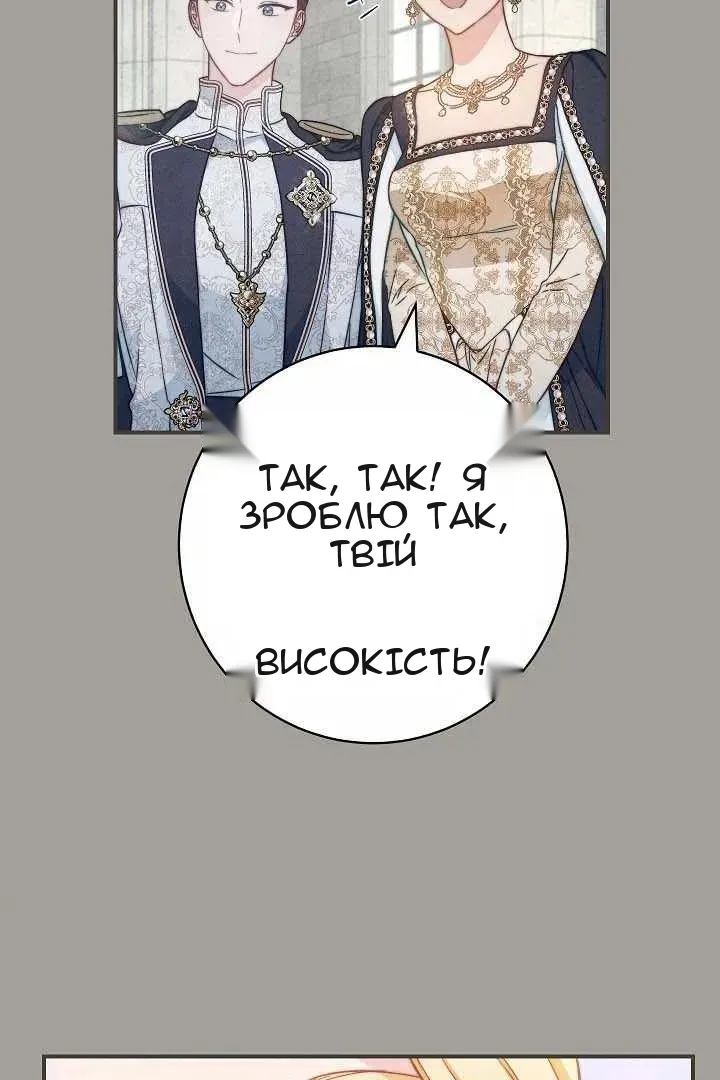 Сторінка 17