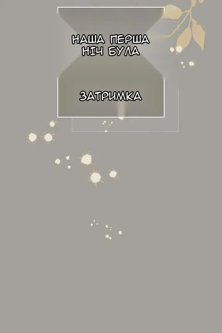 Сторінка 37