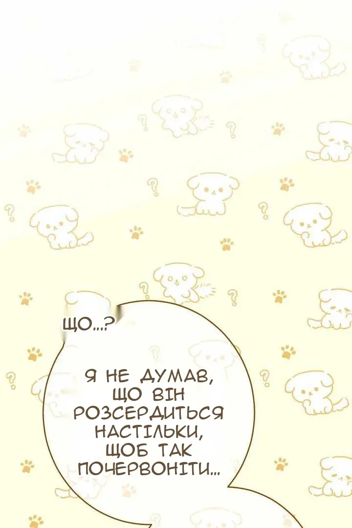 Сторінка 8