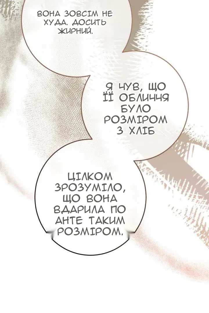 Сторінка 81