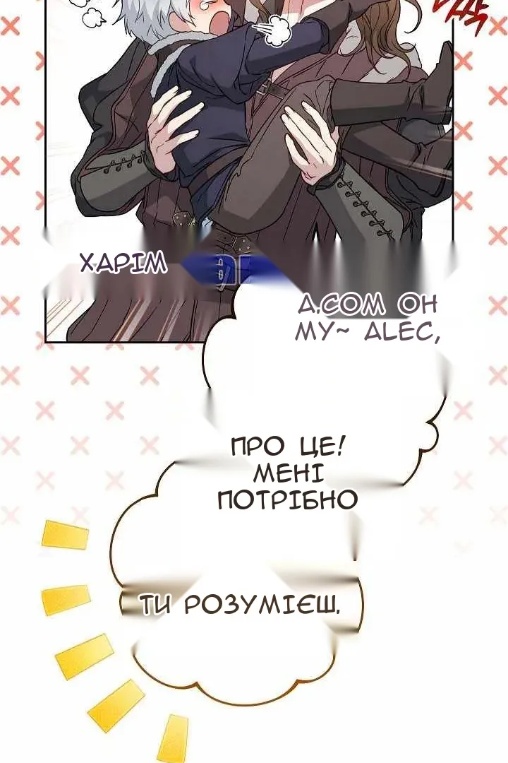 Сторінка 27