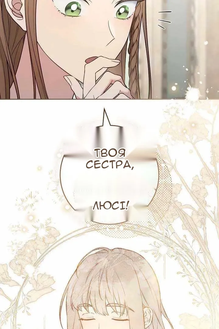 Сторінка 29