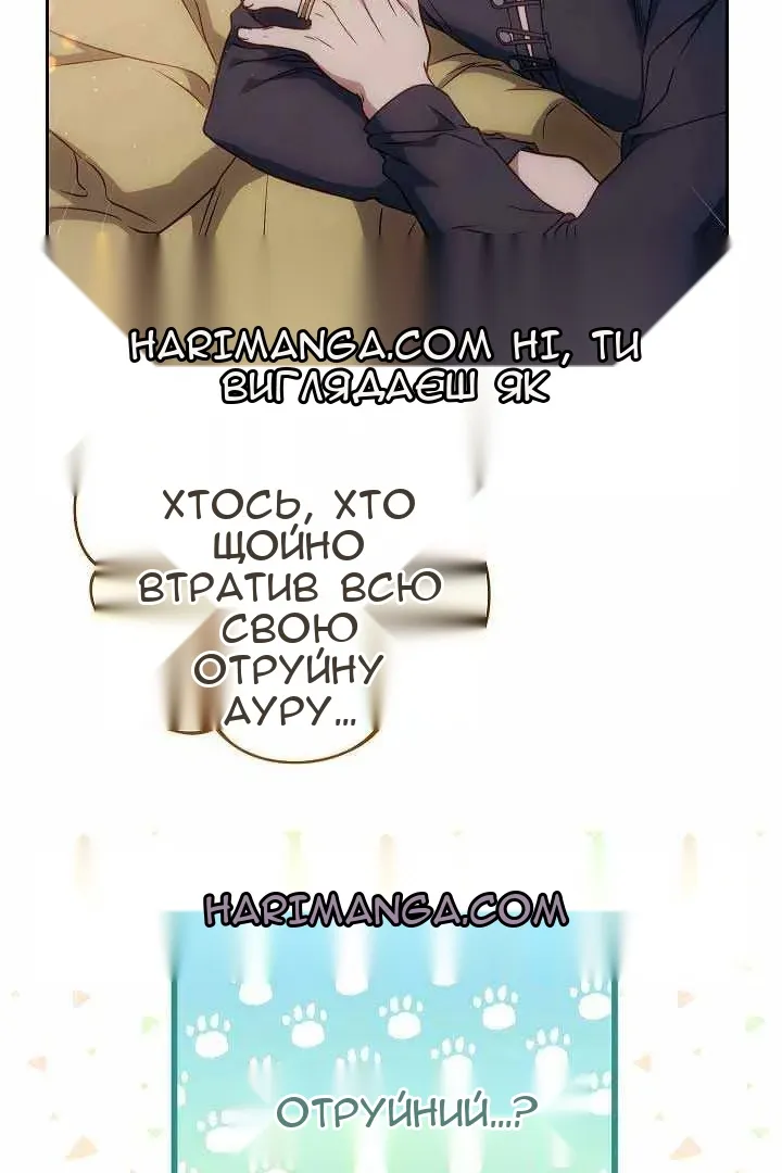 Сторінка 61