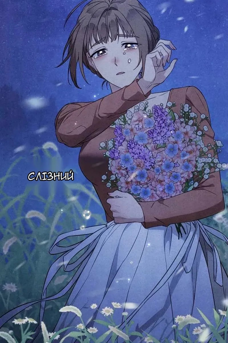 Сторінка 5