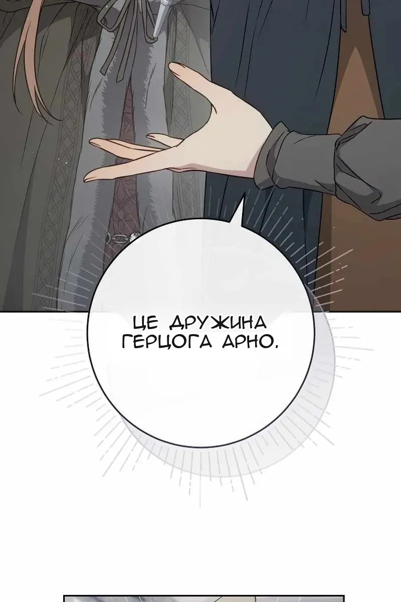 Сторінка 27