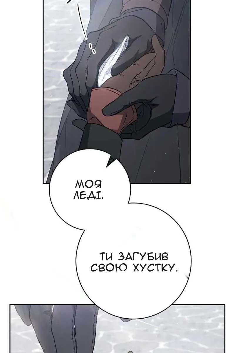 Сторінка 71