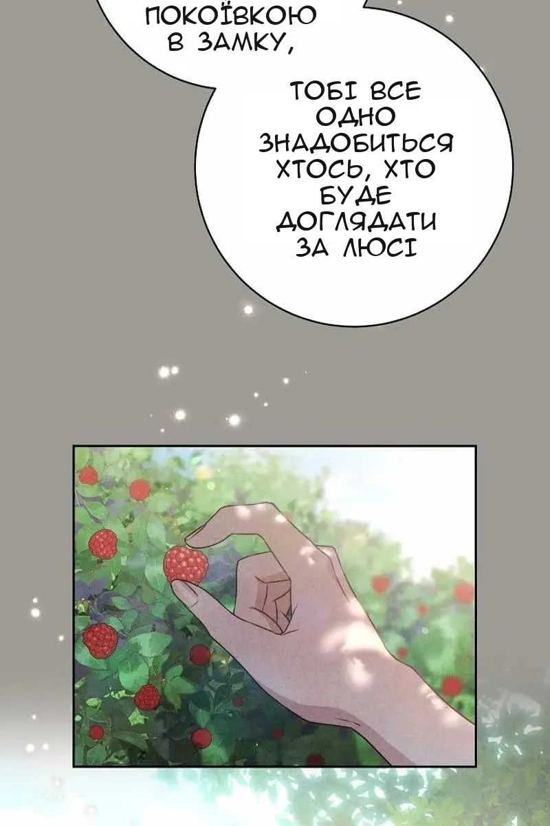 Сторінка 17