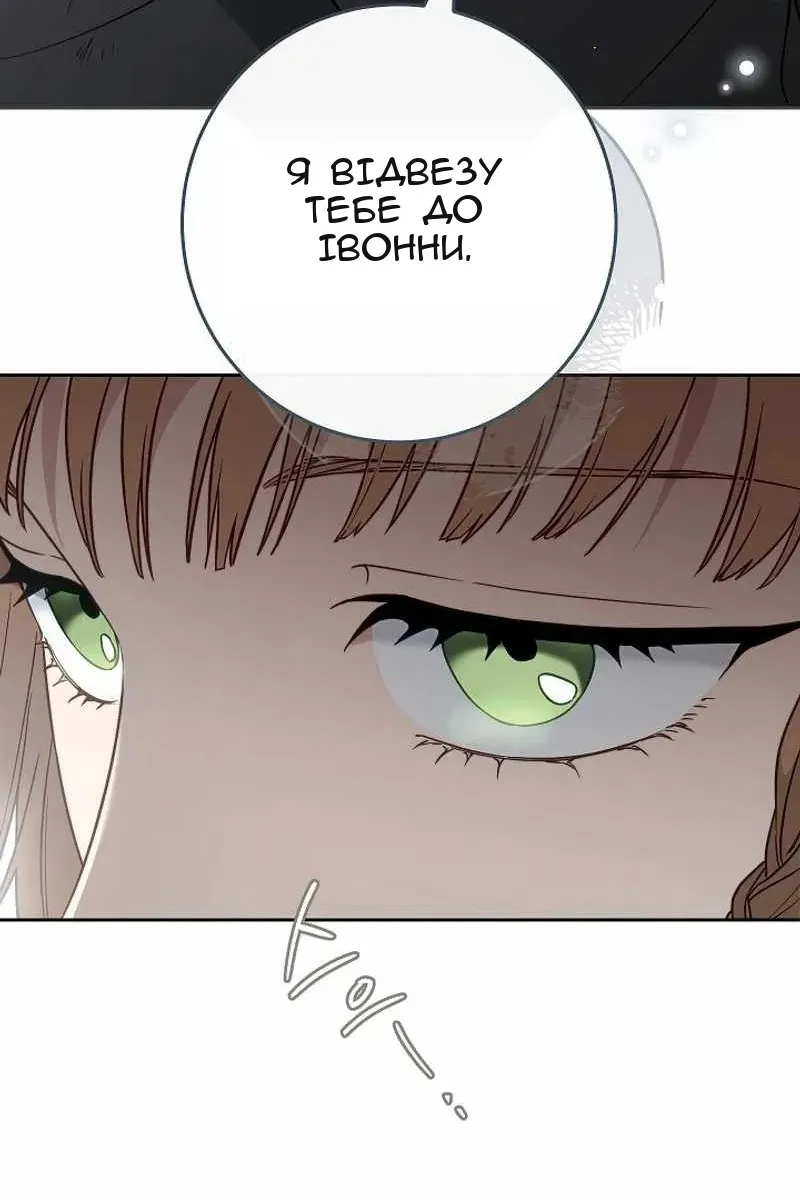 Сторінка 97