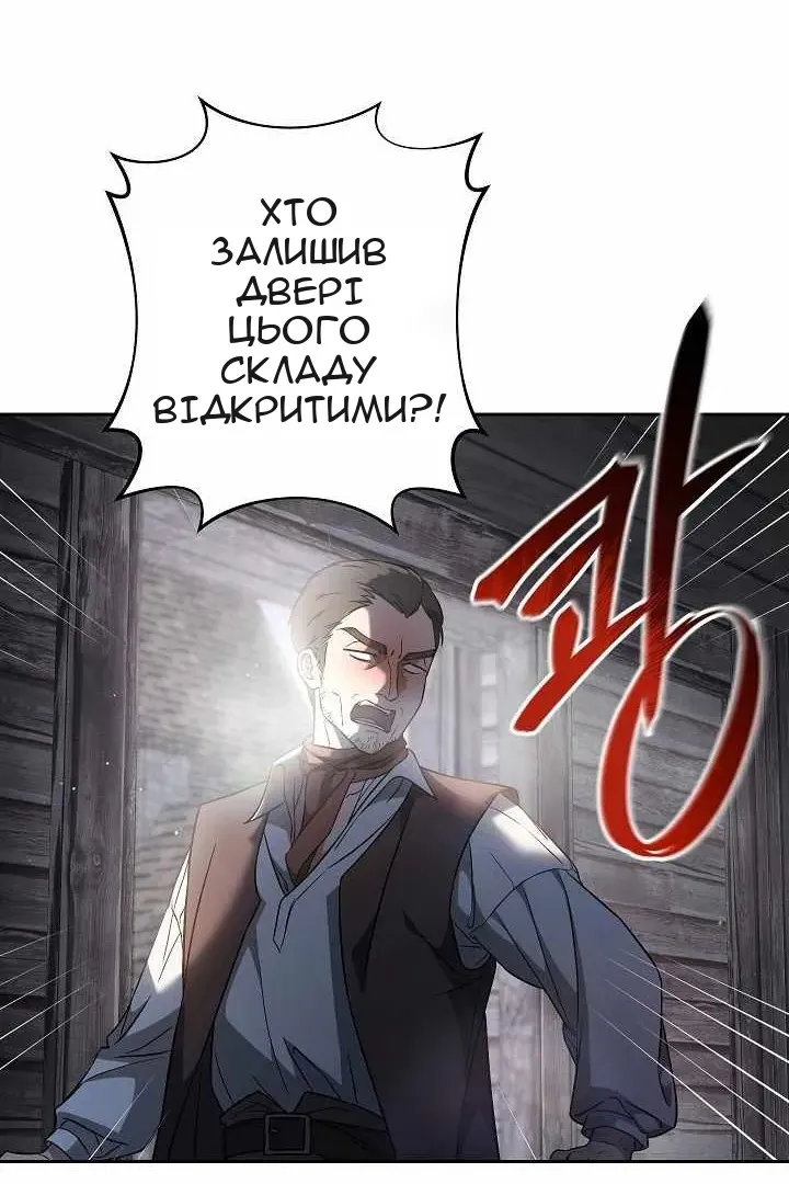 Сторінка 17