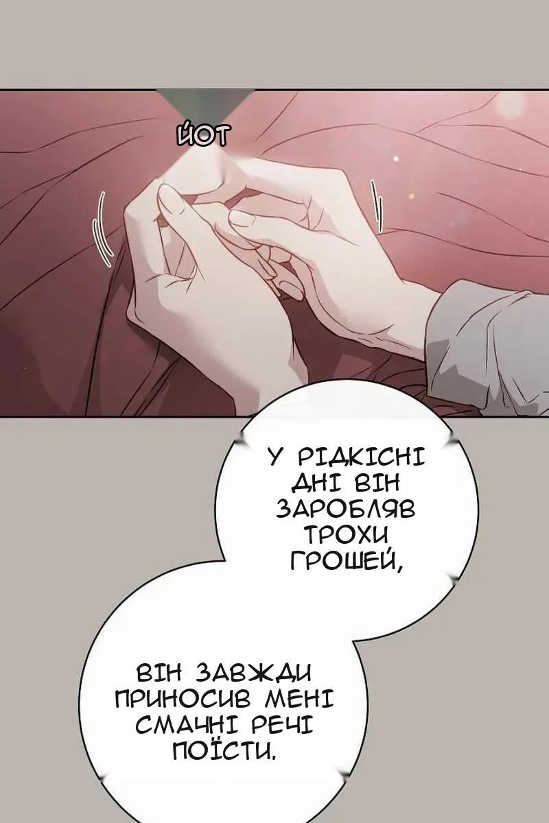 Сторінка 29