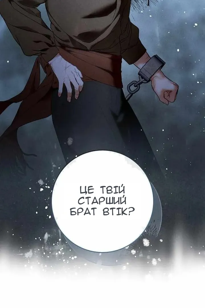Сторінка 41