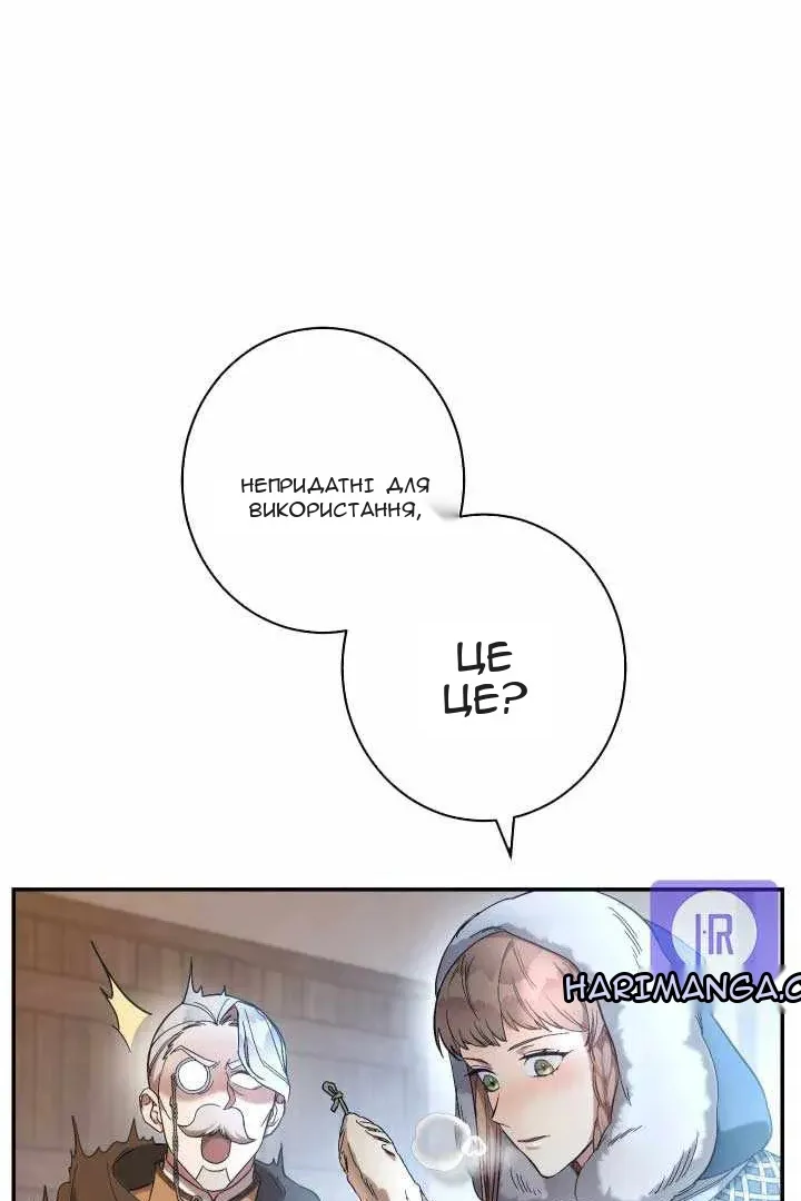 Сторінка 29